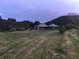 IMG 3763