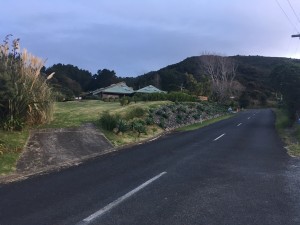 IMG 3764