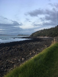 IMG 3767