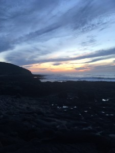 IMG 3771
